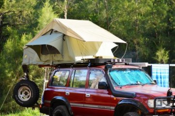 Australia (Guy Fawkes River National Park)